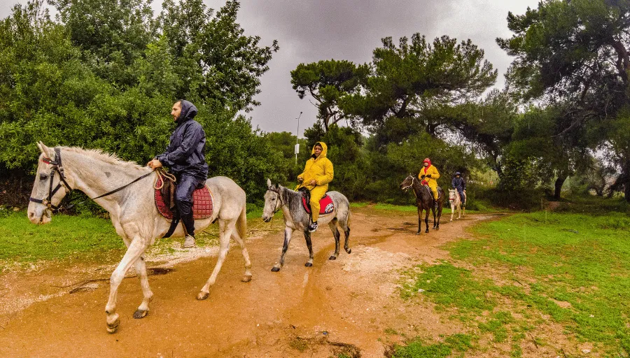Horse Riding photo 6